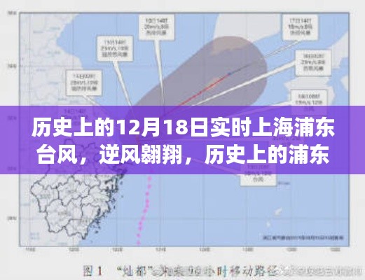浦東逆風(fēng)翱翔，歷史上的臺(tái)風(fēng)與成長故事紀(jì)實(shí)
