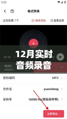 小紅書獨(dú)家揭秘，聆聽冬季實(shí)時(shí)音頻錄音，感受秘密聲音的魅力！