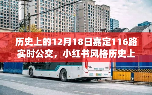 揭秘歷史中的某一天，嘉定公交116路實(shí)時(shí)軌跡與故事回顧（小紅書(shū)風(fēng)格）