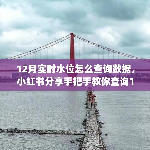 小紅書(shū)教程，手把手查詢12月實(shí)時(shí)水位數(shù)據(jù)，輕松掌握水位動(dòng)態(tài)??