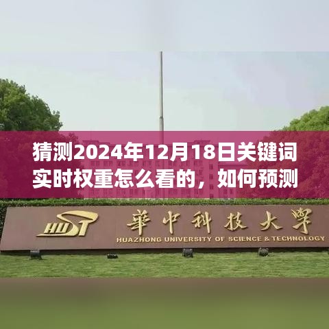 如何預(yù)測(cè)與解讀2024年12月18日關(guān)鍵詞實(shí)時(shí)權(quán)重，步驟指南與猜測(cè)策略分析
