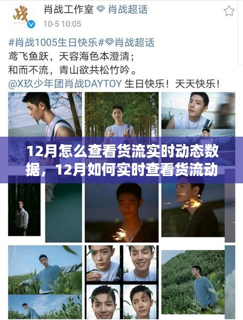 詳解，如何實(shí)時(shí)查看貨流動(dòng)態(tài)數(shù)據(jù)的方法和技巧（12月版）