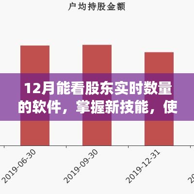 掌握新技能，使用軟件查看股東實時數(shù)量的詳細(xì)指南（適合初學(xué)者與進階用戶）——十二月實時股東數(shù)量監(jiān)控軟件介紹
