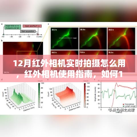 12月紅外相機實時拍攝指南，使用紅外相機進行高效拍攝的操作步驟