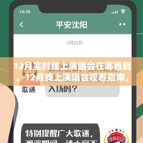 12月線上演唱會觀看指南，尋找最佳觀演體驗的途徑