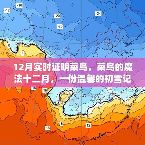 菜鳥的魔法十二月，初雪記憶與友情故事的溫馨之旅