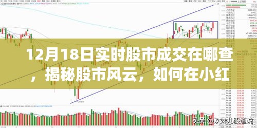 揭秘股市風(fēng)云，如何在小紅書上追蹤股市動態(tài)，掌握最新成交信息（以12月18日為例）