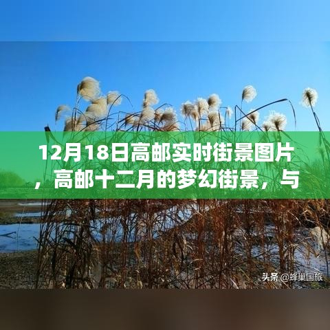 高郵十二月夢幻街景與自然美景的邂逅實(shí)拍圖片欣賞