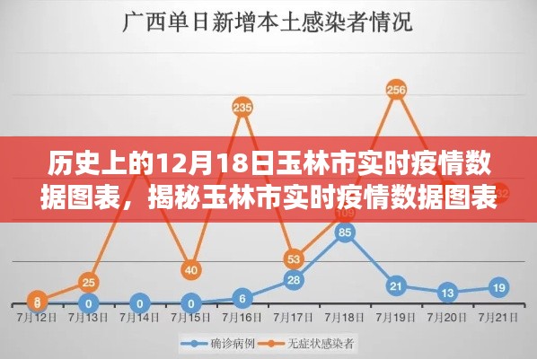 歷史上的12月18日玉林市疫情數(shù)據(jù)圖表深度解析，實(shí)時(shí)數(shù)據(jù)與趨勢(shì)分析