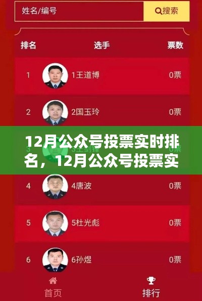12月公眾號投票實時排名，全面評測與深度解析
