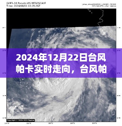 臺(tái)風(fēng)帕卡來(lái)襲，家庭溫馨避風(fēng)港灣實(shí)況追蹤（2024年12月22日）