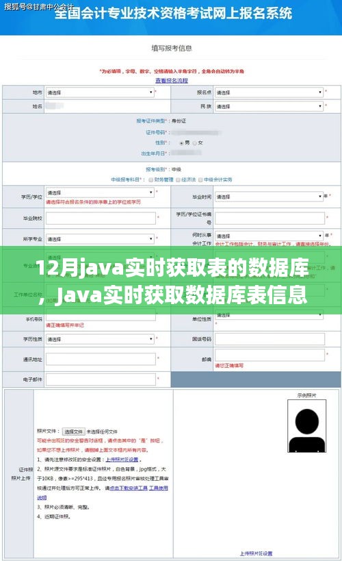 Java實(shí)時獲取數(shù)據(jù)庫表信息的演變與當(dāng)下影響力，歷史背景、關(guān)鍵進(jìn)展及影響分析