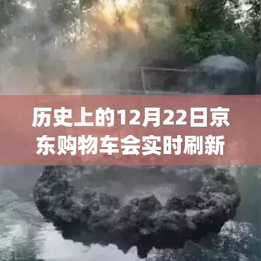 揭秘京東歷史刷新背后的故事，冬至日京東購(gòu)物車實(shí)時(shí)刷新之旅回溯????