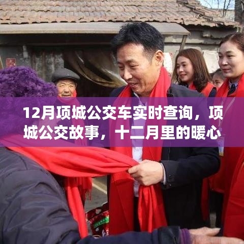 項城公交故事，十二月暖心之旅實時查詢指南