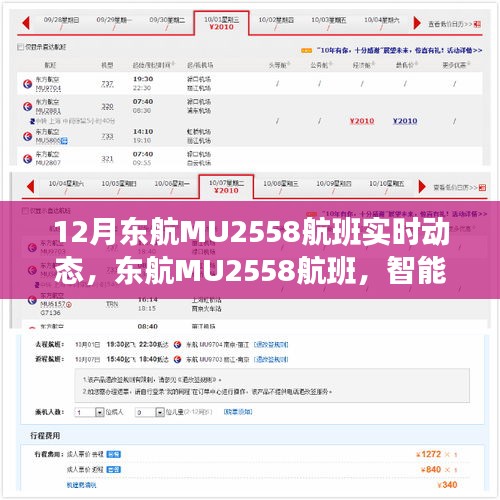 東航MU2558航班實(shí)時(shí)動(dòng)態(tài)，智能追蹤的翅膀引領(lǐng)未來(lái)飛行新紀(jì)元