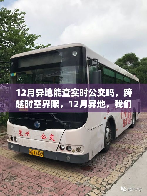 12月異地實(shí)時(shí)公交查詢，跨越時(shí)空界限，掌握動(dòng)態(tài)成就自信與夢想