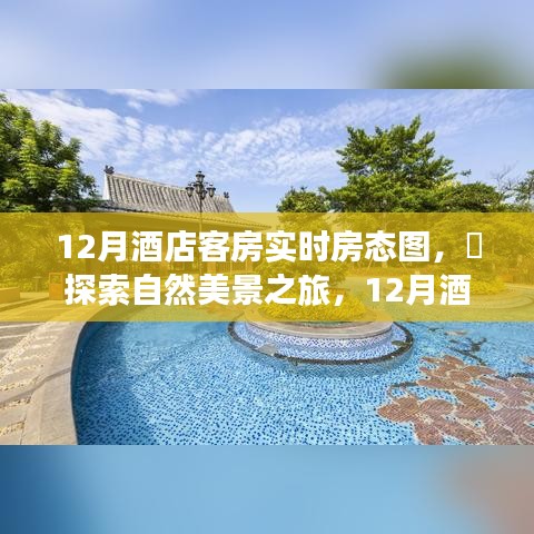 12月酒店客房實(shí)時(shí)房態(tài)圖，自然美景之旅，探尋內(nèi)心的寧?kù)o與微笑之旅