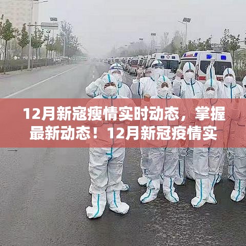 12月新冠疫情實時追蹤，最新動態(tài)與應對策略指南