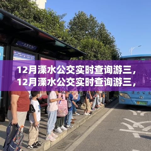 一站式公交體驗深度解析，溧水公交游三服務(wù)在12月的實(shí)時查詢體驗