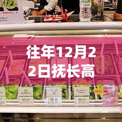 探秘?fù)衢L(zhǎng)高速日常路況與巷弄驚喜小店，12月22日實(shí)時(shí)路況回顧