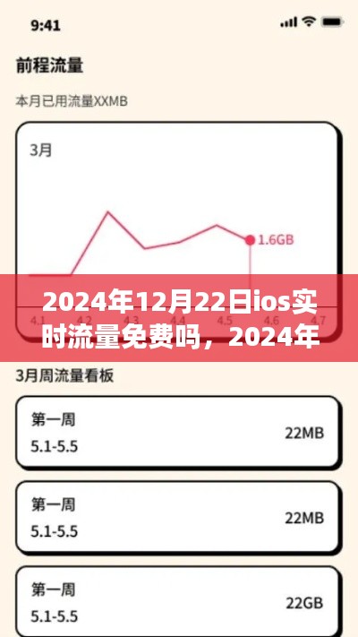 關(guān)于iOS實(shí)時流量費(fèi)用的解析，2024年12月22日iOS流量費(fèi)用揭秘與實(shí)時流量免費(fèi)與否的探討
