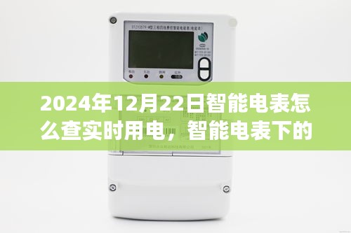 智能電表下的實(shí)時(shí)用電探秘與溫馨時(shí)光體驗(yàn)（2024年12月22日）