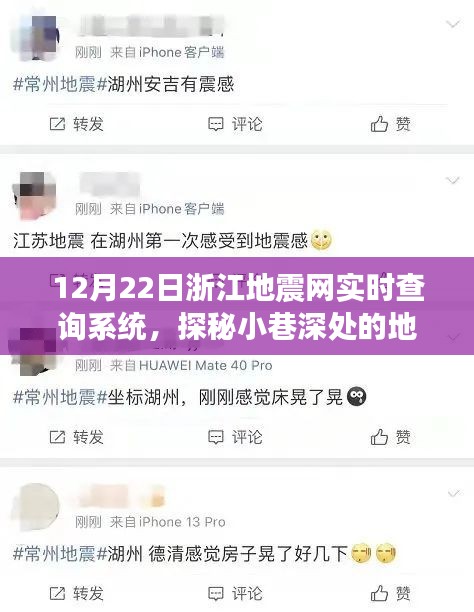 浙江地震網(wǎng)實(shí)時(shí)查詢系統(tǒng)揭秘，小巷深處的地震監(jiān)測(cè)體驗(yàn)館