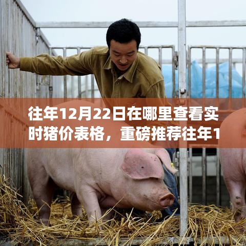 往年12月22日實時豬價表格全攻略，洞悉市場變化，輕松掌握豬價動態(tài)（小紅書推薦）