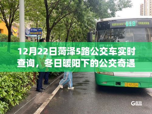 菏澤5路公交車冬日實(shí)時(shí)查詢，公交上的友情時(shí)光與冬日暖陽下的奇遇