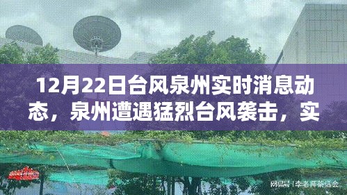深遠(yuǎn)影響分析