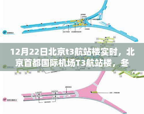 冬至?xí)r刻的樞紐脈動(dòng)，北京首都國(guó)際機(jī)場(chǎng)T3航站樓實(shí)時(shí)觀察