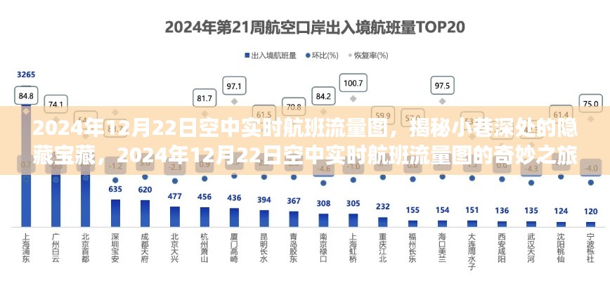 揭秘小巷深處的寶藏，2024年空中實(shí)時(shí)航班流量圖的奇妙探索之旅