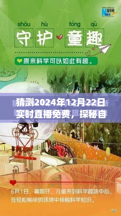 探秘自然秘境，免費直播旅行啟示錄，領略心靈深處的寧靜與喜悅（2024年12月22日實時直播）