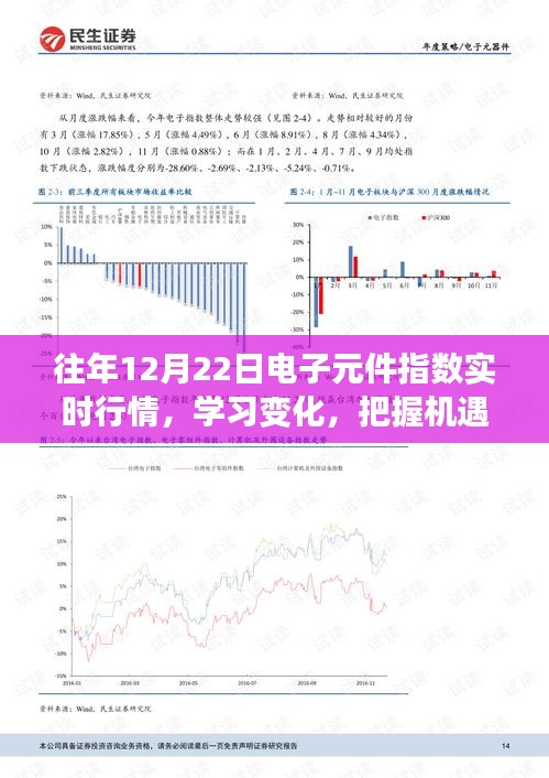 歷年12月22日電子元件指數(shù)深度解析，實(shí)時行情、學(xué)習(xí)變化與勵志故事標(biāo)題建議，歷年電子元件指數(shù)背后的機(jī)遇與挑戰(zhàn)，深度解析與勵志故事分享。