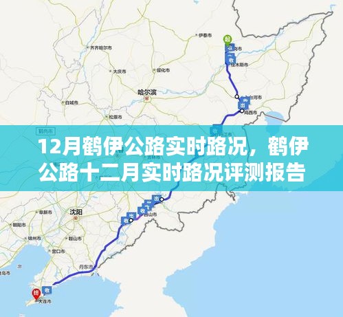 鶴伊公路12月實時路況評測報告