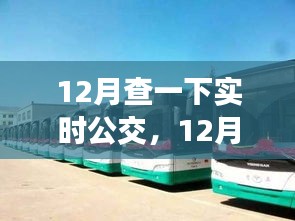 12月實(shí)時(shí)公交查詢，便捷與局限并存