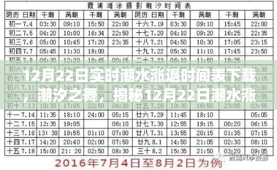 揭秘潮汐之舞背后的故事，12月22日潮水漲退時間表下載全解析