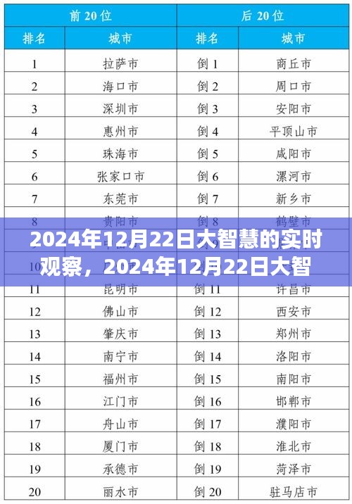 大智慧實(shí)時(shí)觀察，科技、人文與未來(lái)的交融（2024年12月22日觀察報(bào)告）