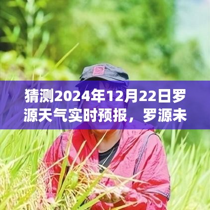 羅源天氣預(yù)報(bào)，探索變化中的學(xué)習(xí)，自信成就之源的未來氣象預(yù)測(cè)（2024年12月22日實(shí)時(shí)更新）
