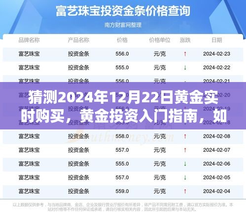 黃金投資入門指南，預(yù)測與實(shí)時(shí)購買黃金策略（以2024年12月22日為焦點(diǎn)）