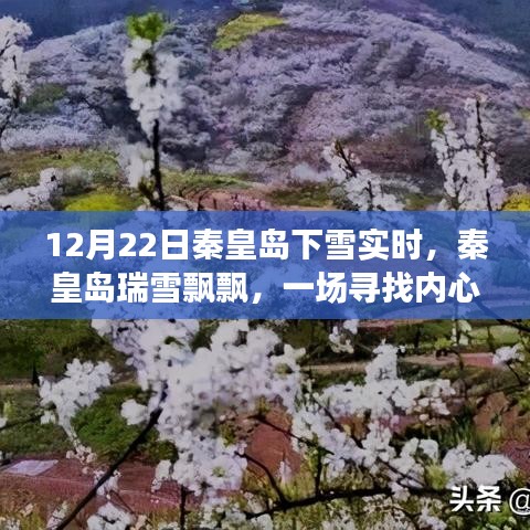 秦皇島瑞雪飄飄，雪域之旅尋找內(nèi)心平靜的時(shí)刻