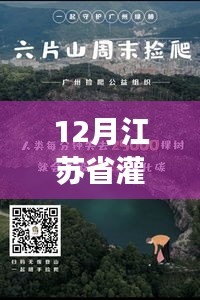 自然探索