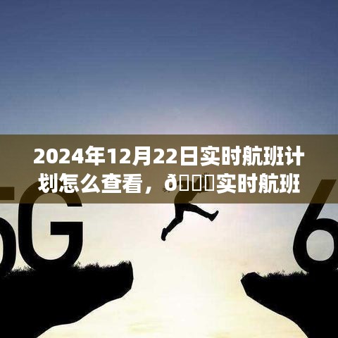 2024年實(shí)時(shí)航班計(jì)劃查看指南，智能追蹤，開(kāi)啟未來(lái)航班之旅