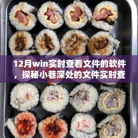 探秘十二月實(shí)時(shí)查看文件寶藏，軟件與隱藏店鋪的雙重驚喜