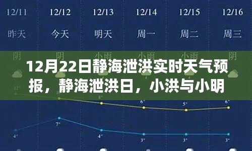 靜海泄洪日氣象奇遇，小洪與小明的天氣冒險(xiǎn)之旅