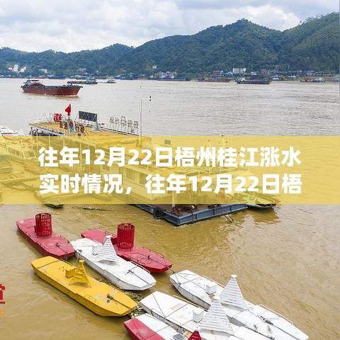 往年12月22日梧州桂江漲水現(xiàn)象，實時情況與分析