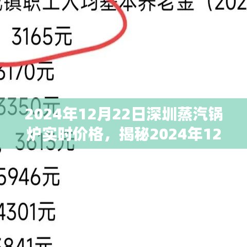揭秘蒸汽鍋爐市場，深圳蒸汽鍋爐實時價格與專業(yè)解讀（2024年12月22日）