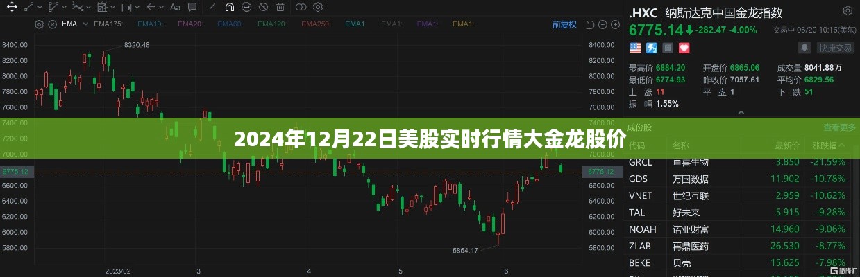 大金龍股價(jià)實(shí)時(shí)行情分析（美股市場(chǎng)）