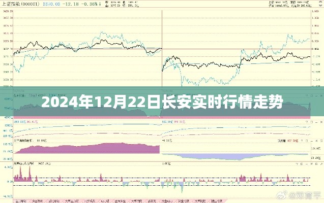 長安實(shí)時(shí)行情走勢分析（最新更新至2024年）