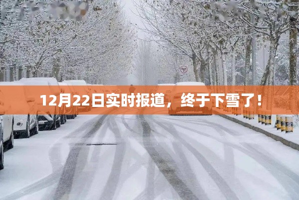 終于下雪了！最新實(shí)時(shí)報(bào)道揭示冬日美景
